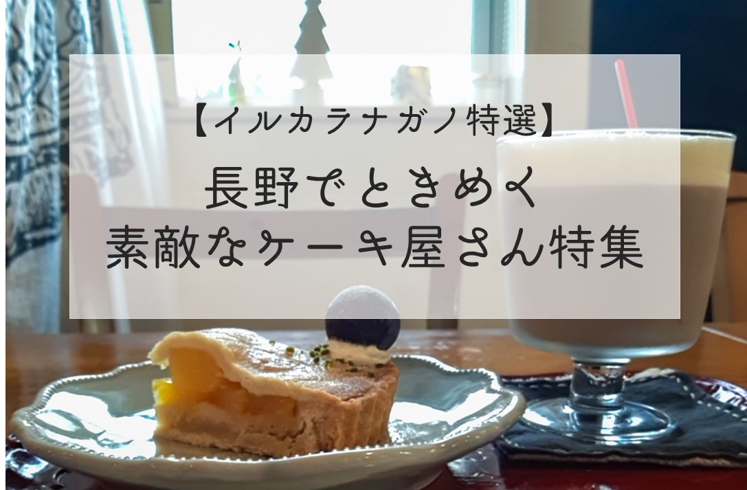 【長野市内の人気店】おすすめのケーキ屋さん20選